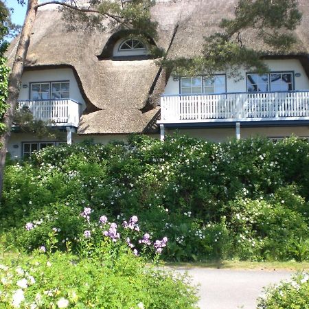 Achtern - Diek - Am Strand Zingst Zewnętrze zdjęcie