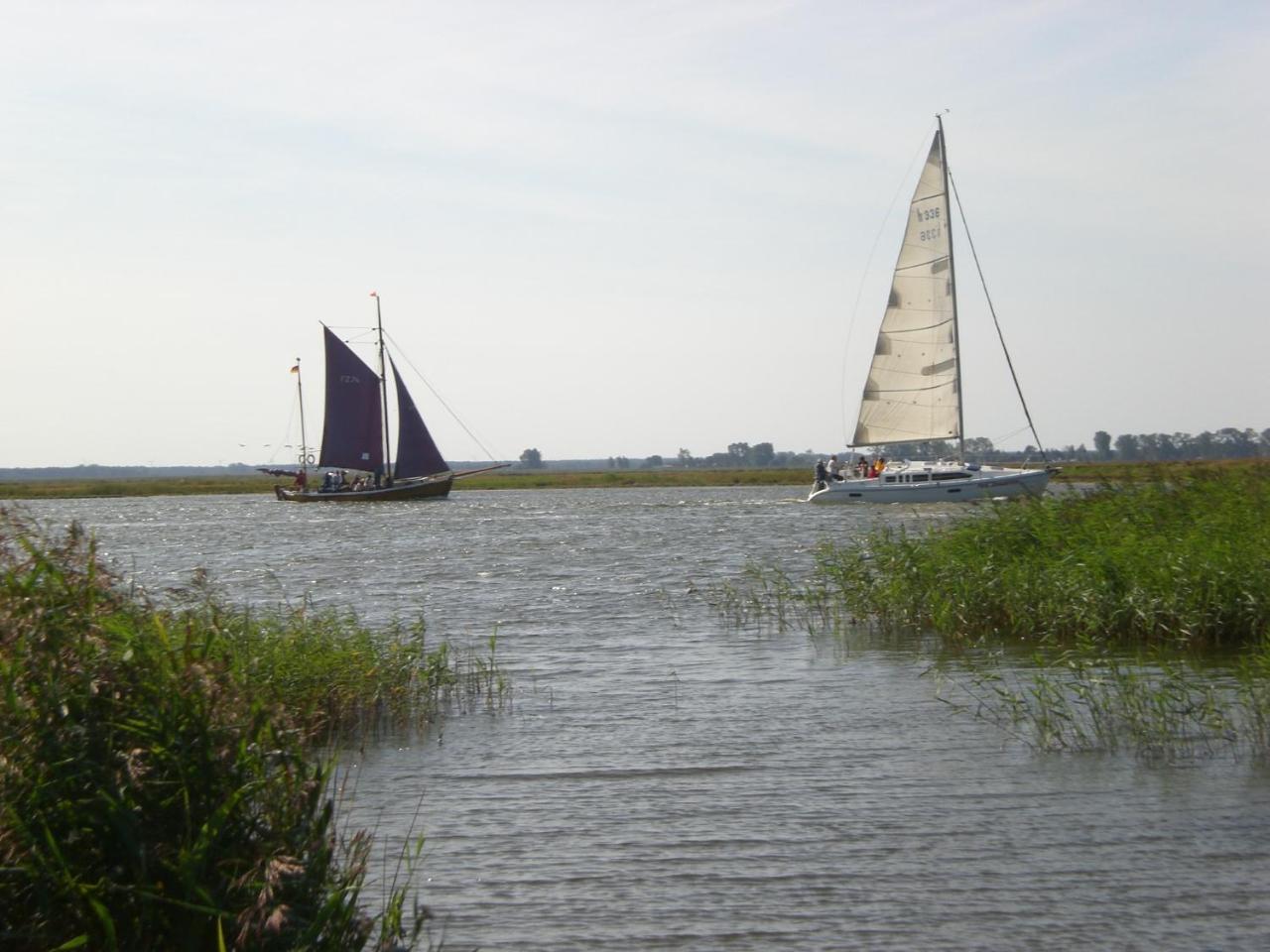 Achtern - Diek - Am Strand Zingst Zewnętrze zdjęcie