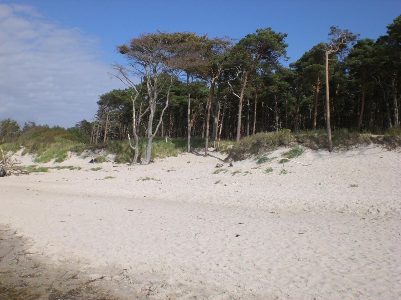 Achtern - Diek - Am Strand Zingst Zewnętrze zdjęcie