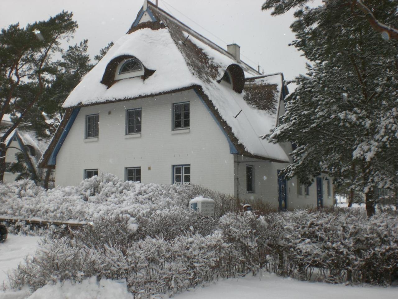 Achtern - Diek - Am Strand Zingst Zewnętrze zdjęcie