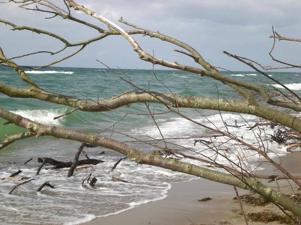 Achtern - Diek - Am Strand Zingst Zewnętrze zdjęcie