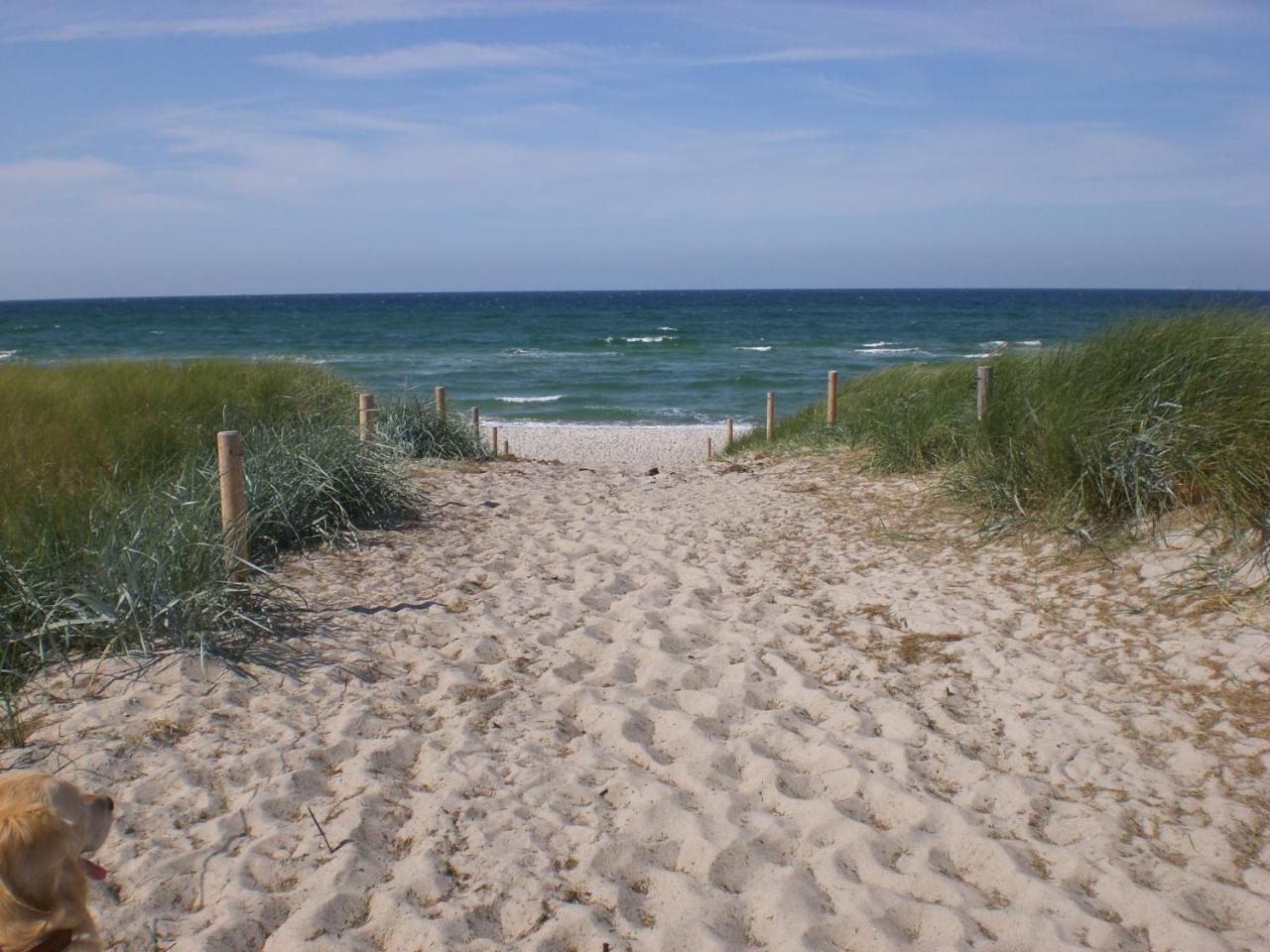 Achtern - Diek - Am Strand Zingst Zewnętrze zdjęcie